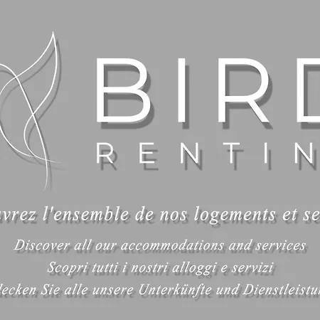 Rue D'antibes Bright With Terrace