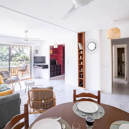 公寓 Rue D'antibes Bright With Terrace